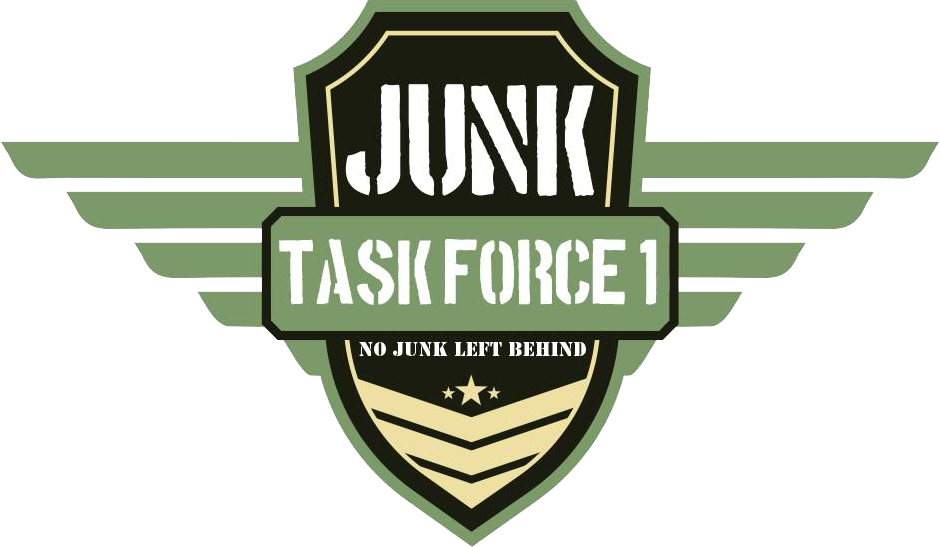 Junk Task Force 1 